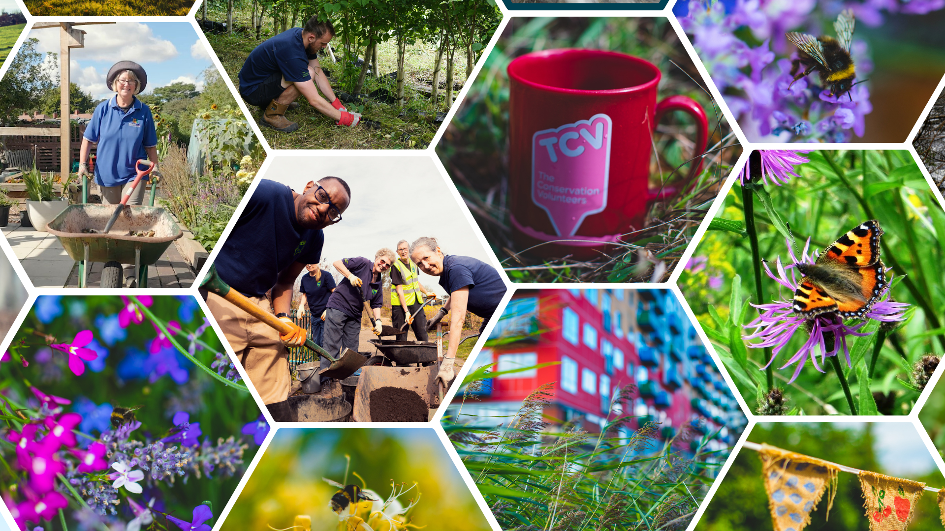 TCV Blog collage - 10 Ways UK Councils and Community Groups Can Boost Local Biodiversity