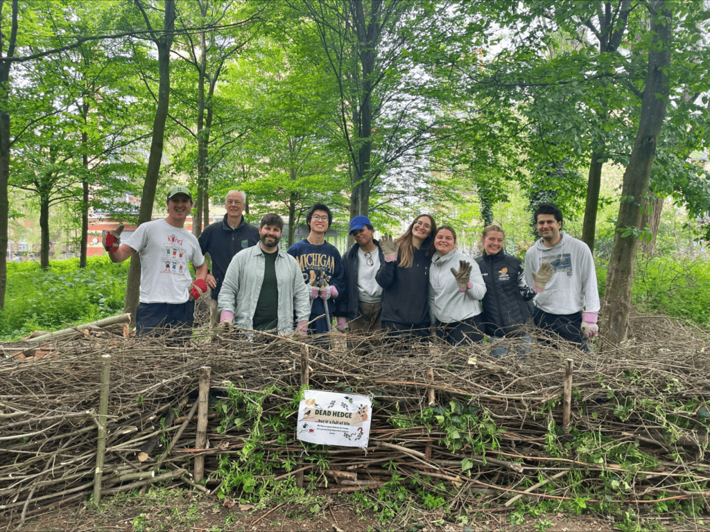Group of people behind a hedge.