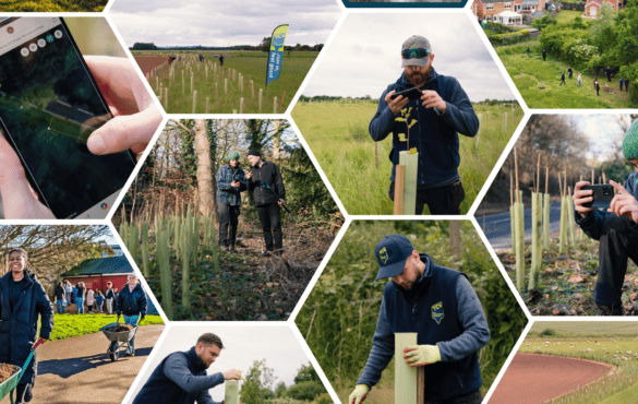 TCV I Dig Trees collage of tree planting and inspections