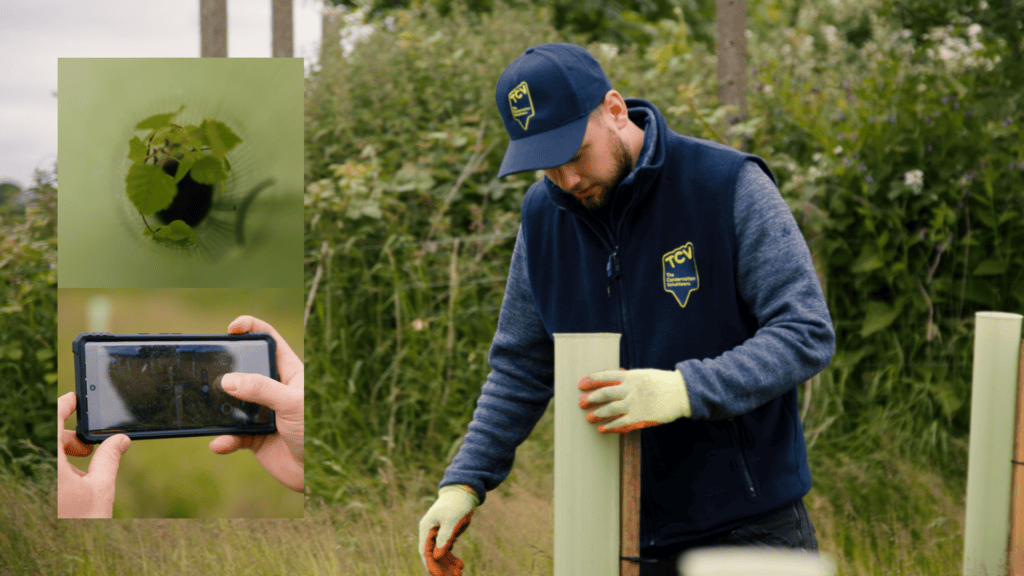 TCV tree inspector checking on health of community planting and recording in the app