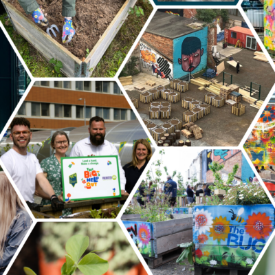 TCV Blog The BUG to Annadale Community Garden collage