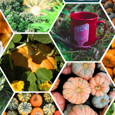 TCV blog collage. 10 Delicious Ways to Use Leftover Pumpkin (And Reduce Food Waste)