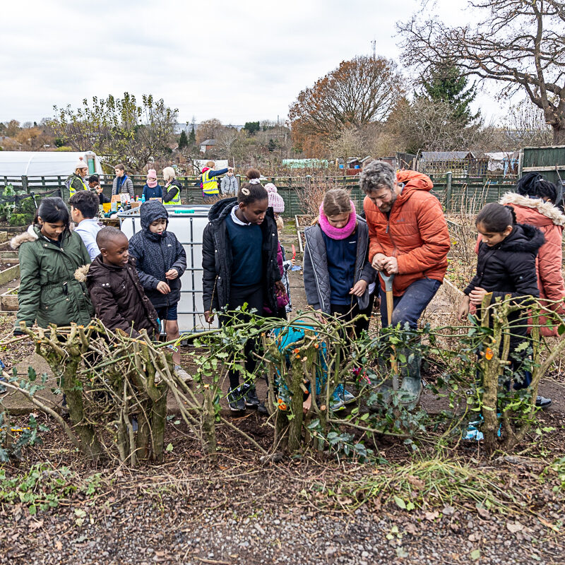 2023 I Dig Trees Earlsdon Primary School - CV5 6FZ - West Midlands 2