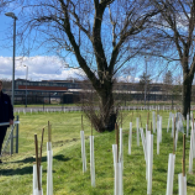 RSPB Glasgow I Dig Trees 2023
